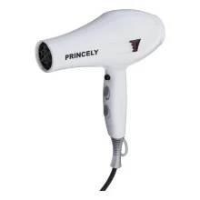 سشوار خانگی پرنسلی مدل PR249AT