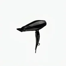 سشوار حرفه‌ای 2400 وات پرنسلی مدل PR245